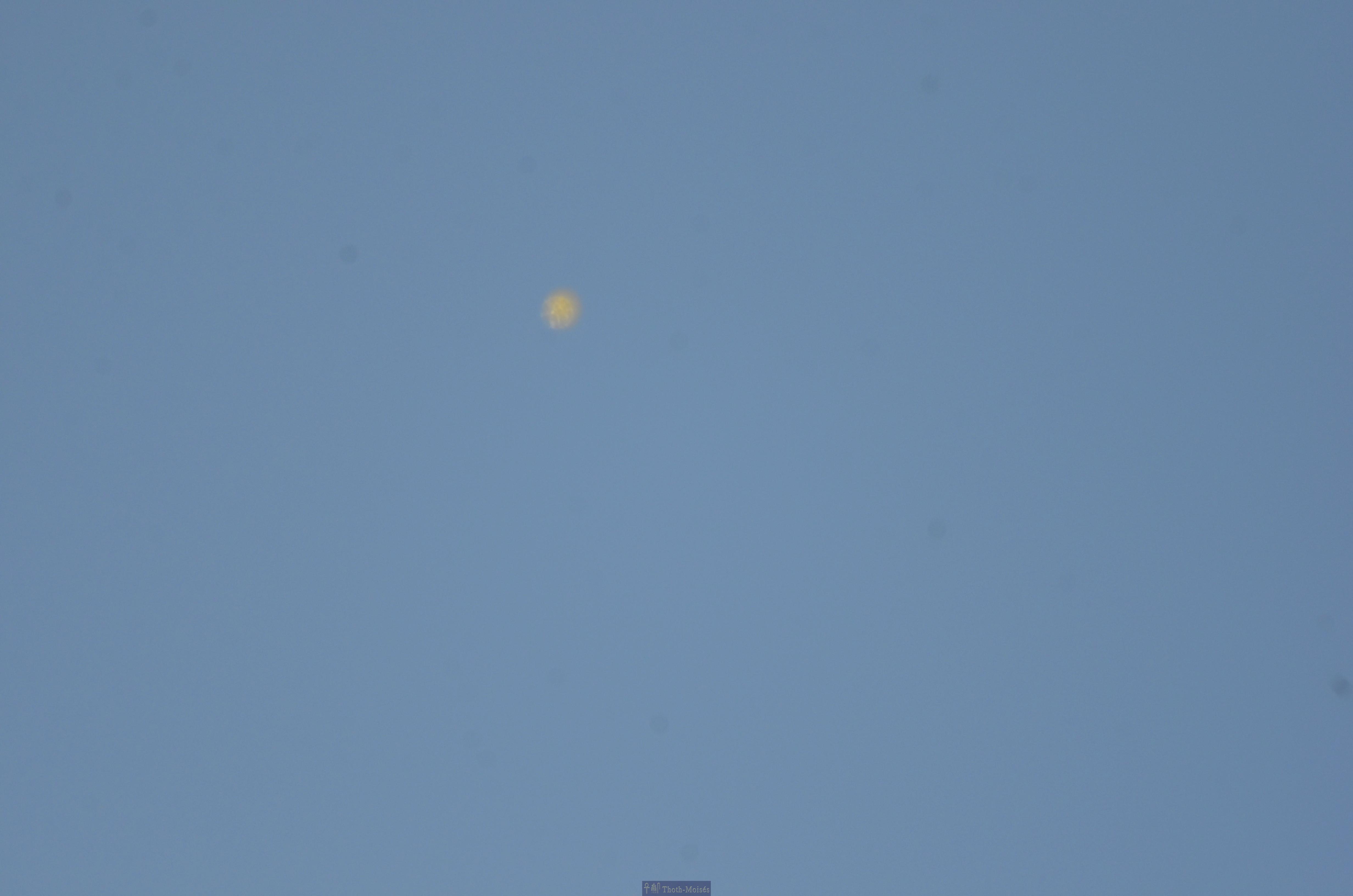 DSC_9553.JPG