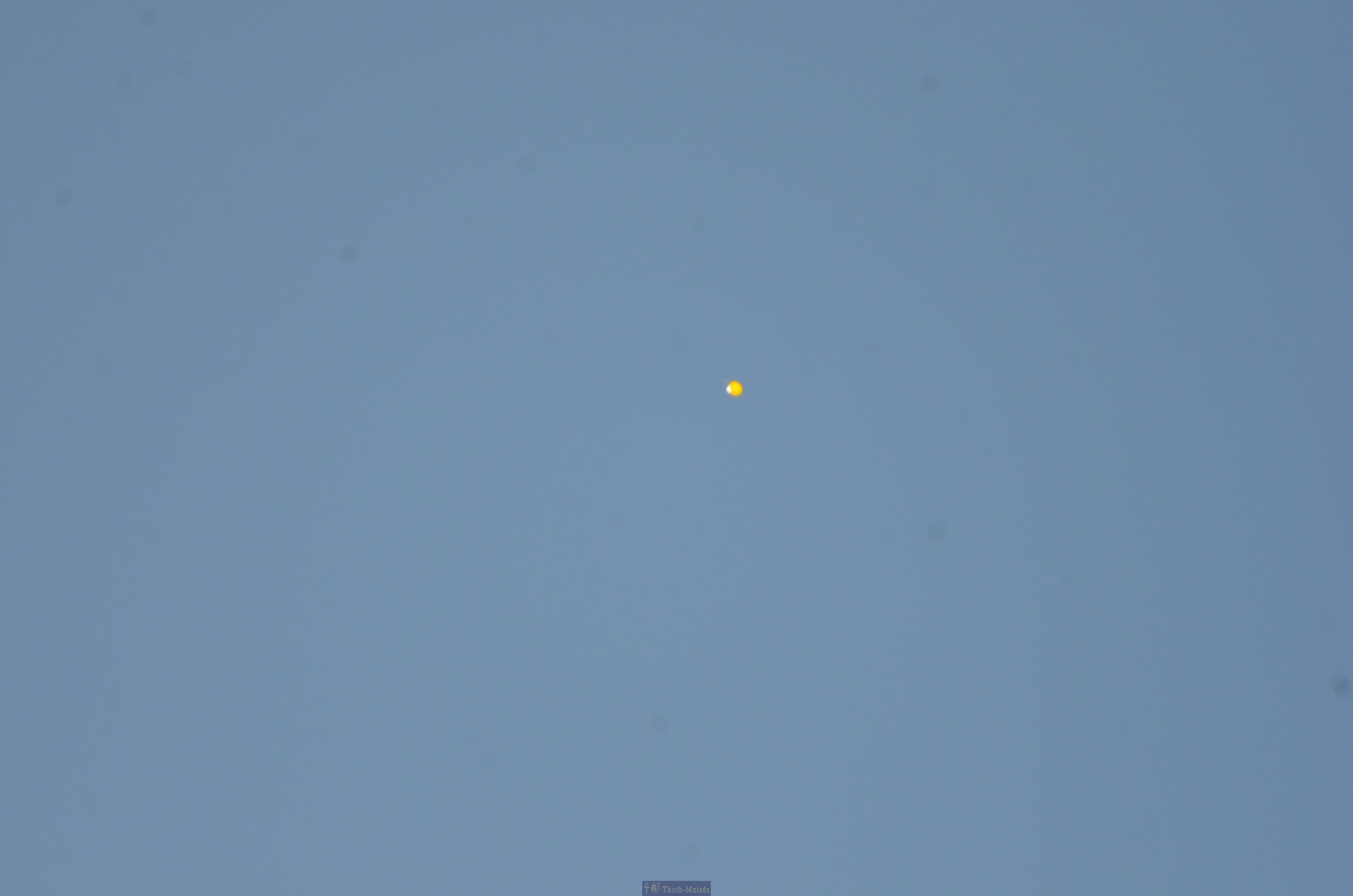 DSC_9572.JPG