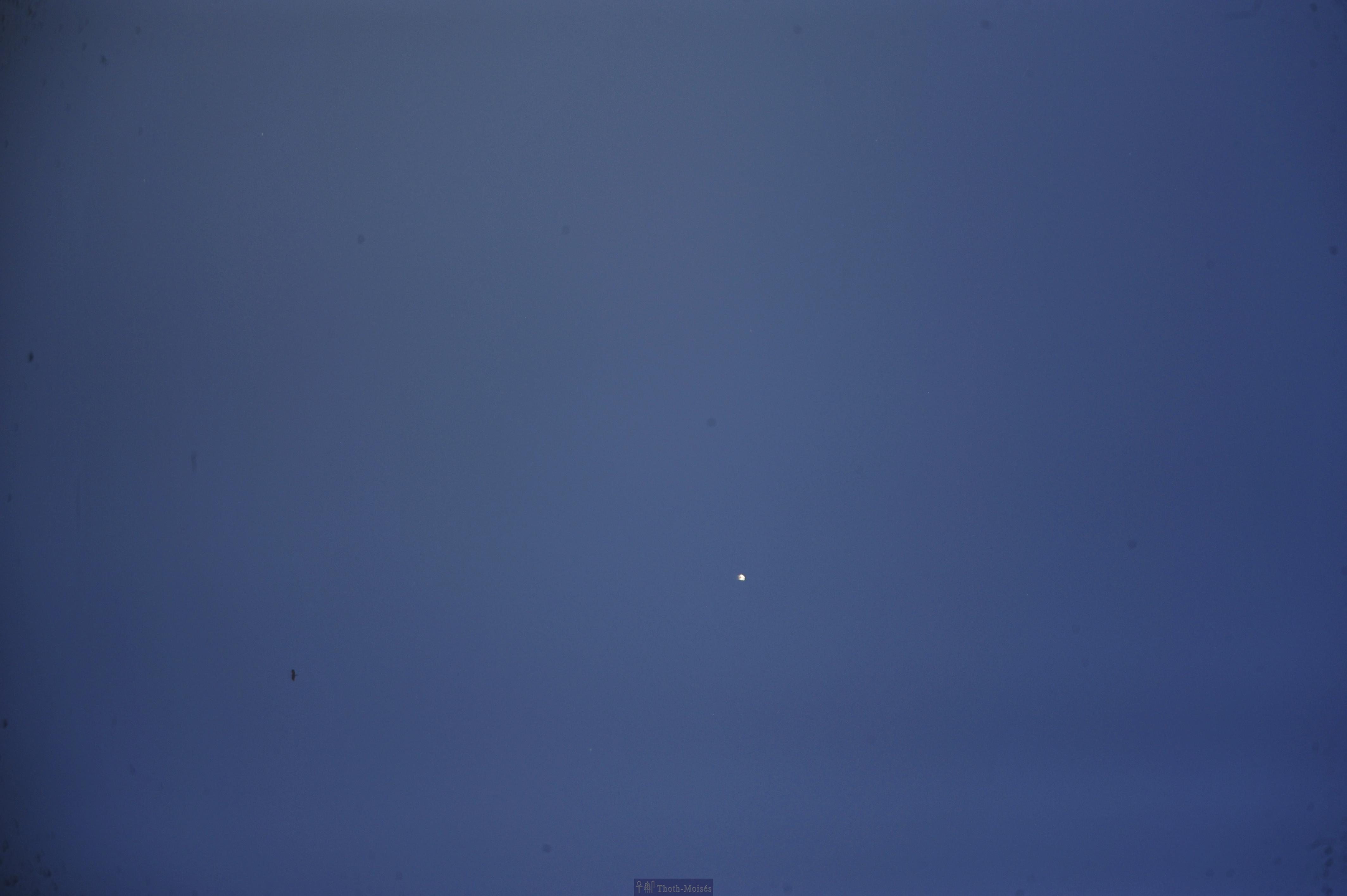 DSC_2040.JPG