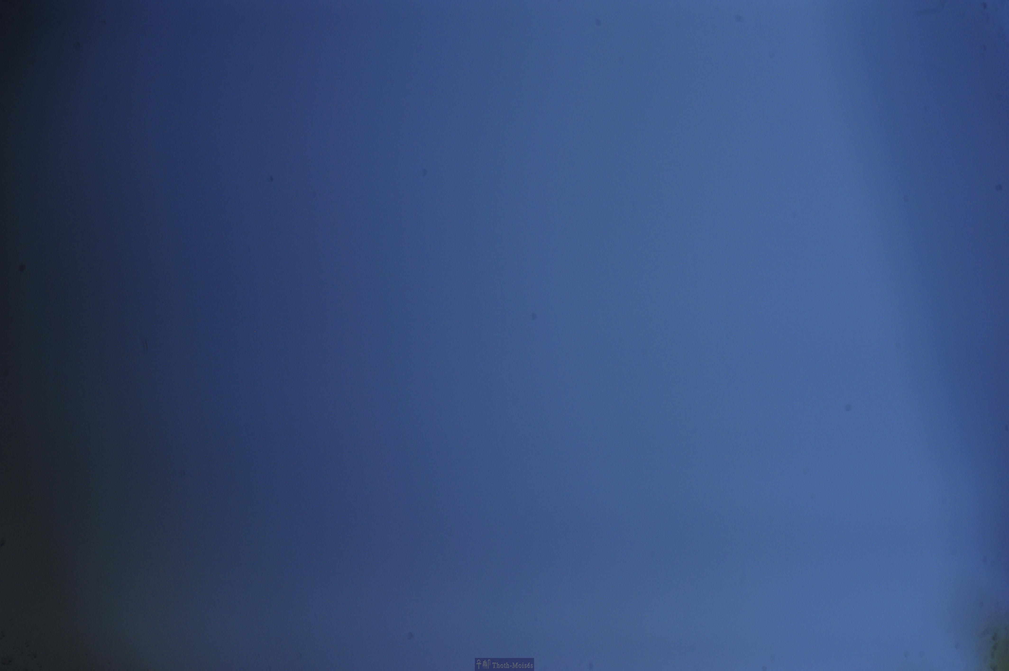 DSC_2329.JPG