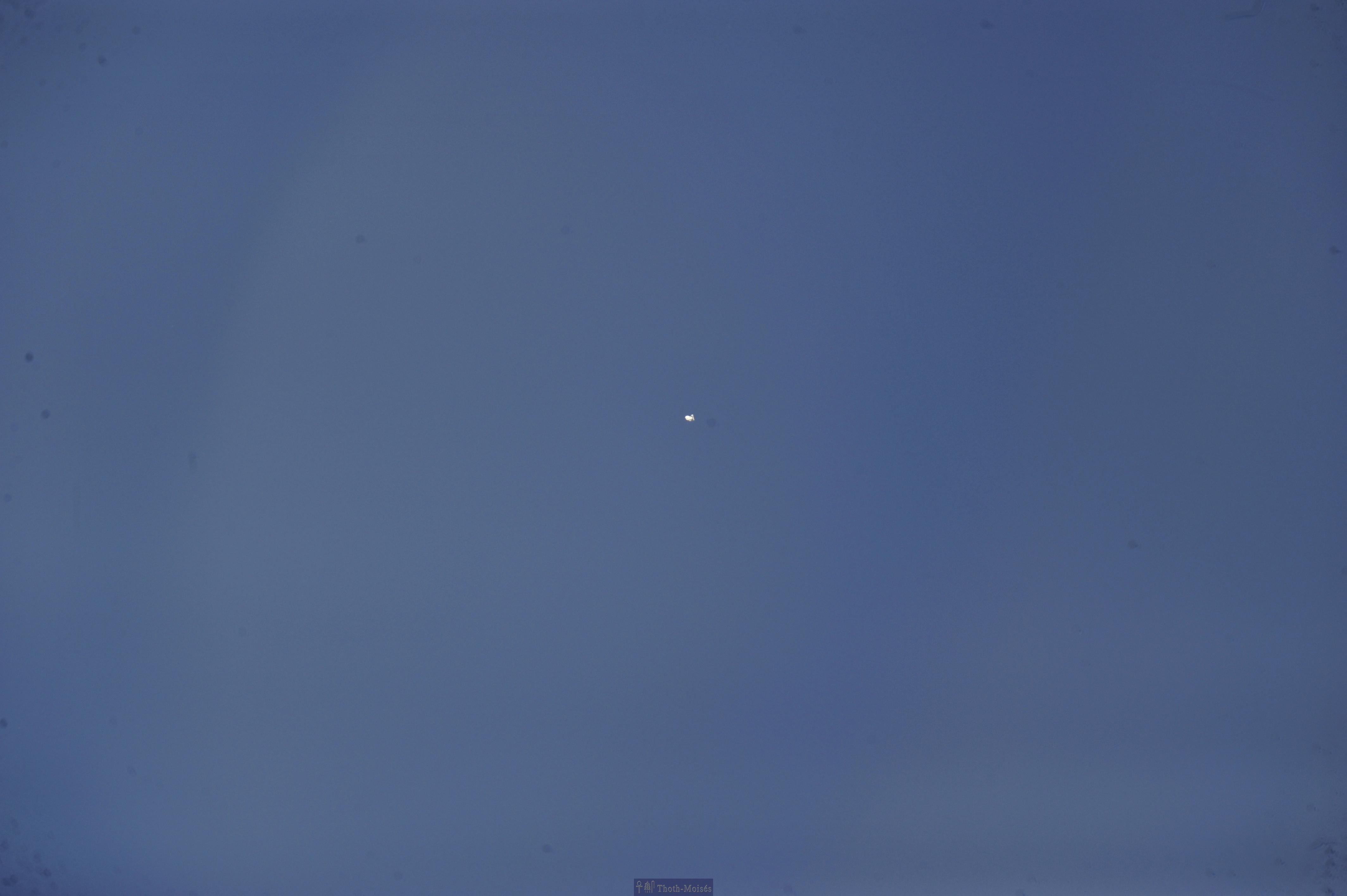 DSC_2384.JPG