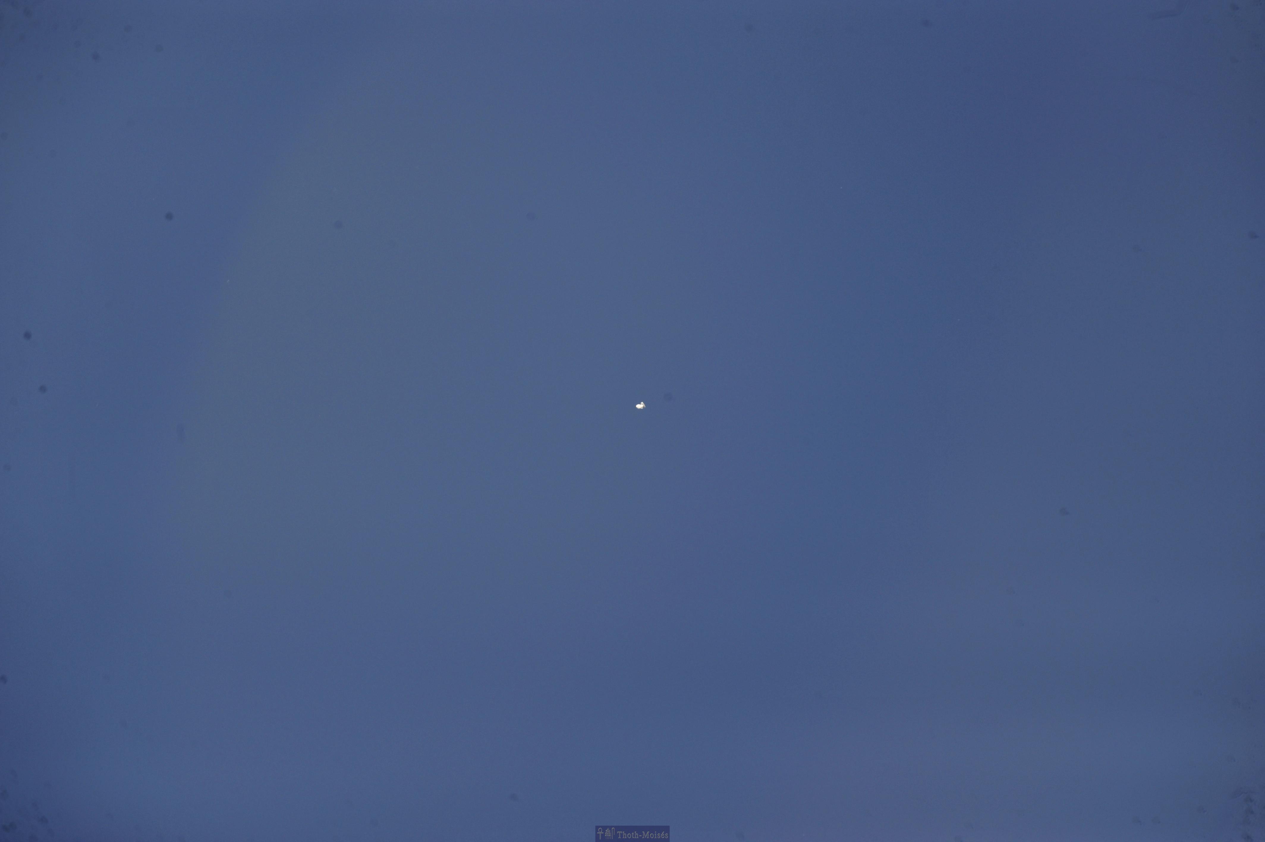 DSC_2394.JPG