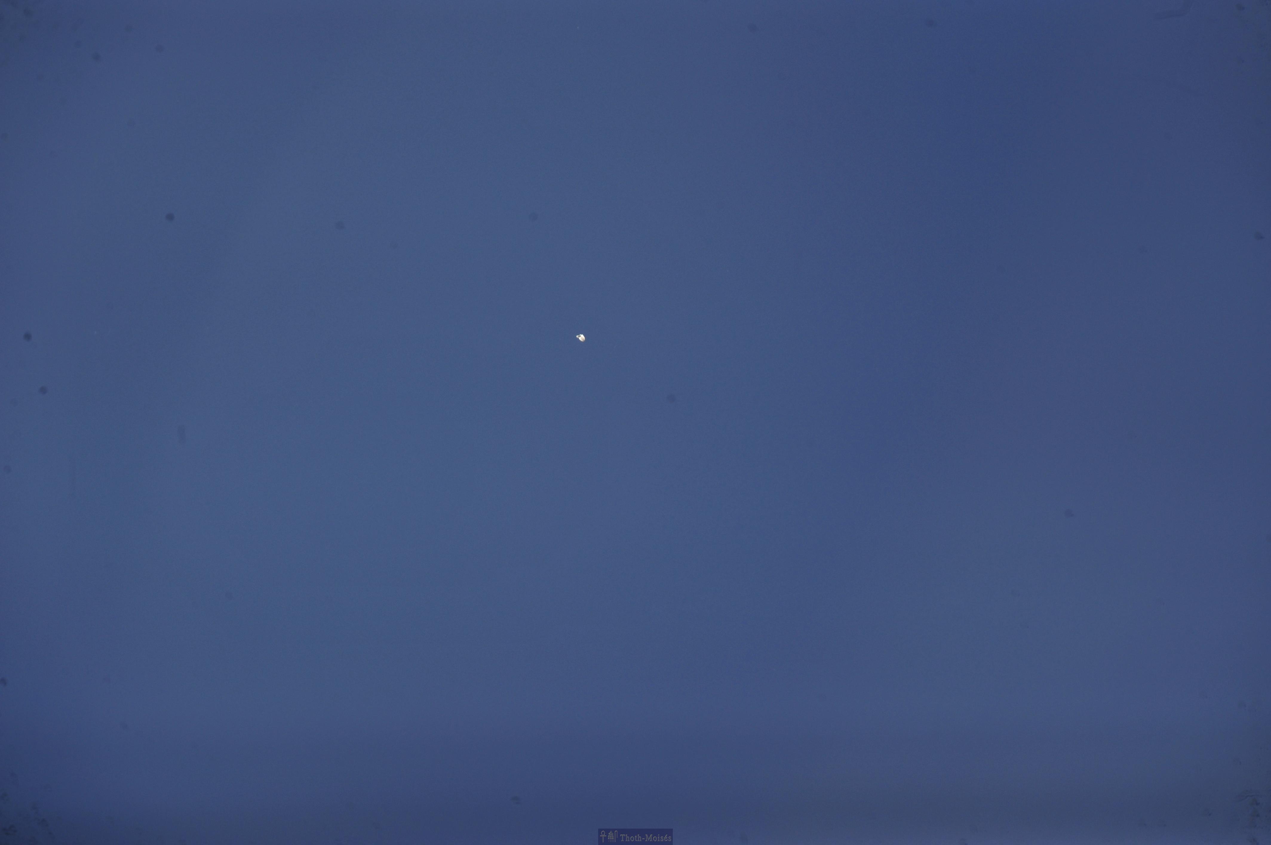 DSC_2398.JPG