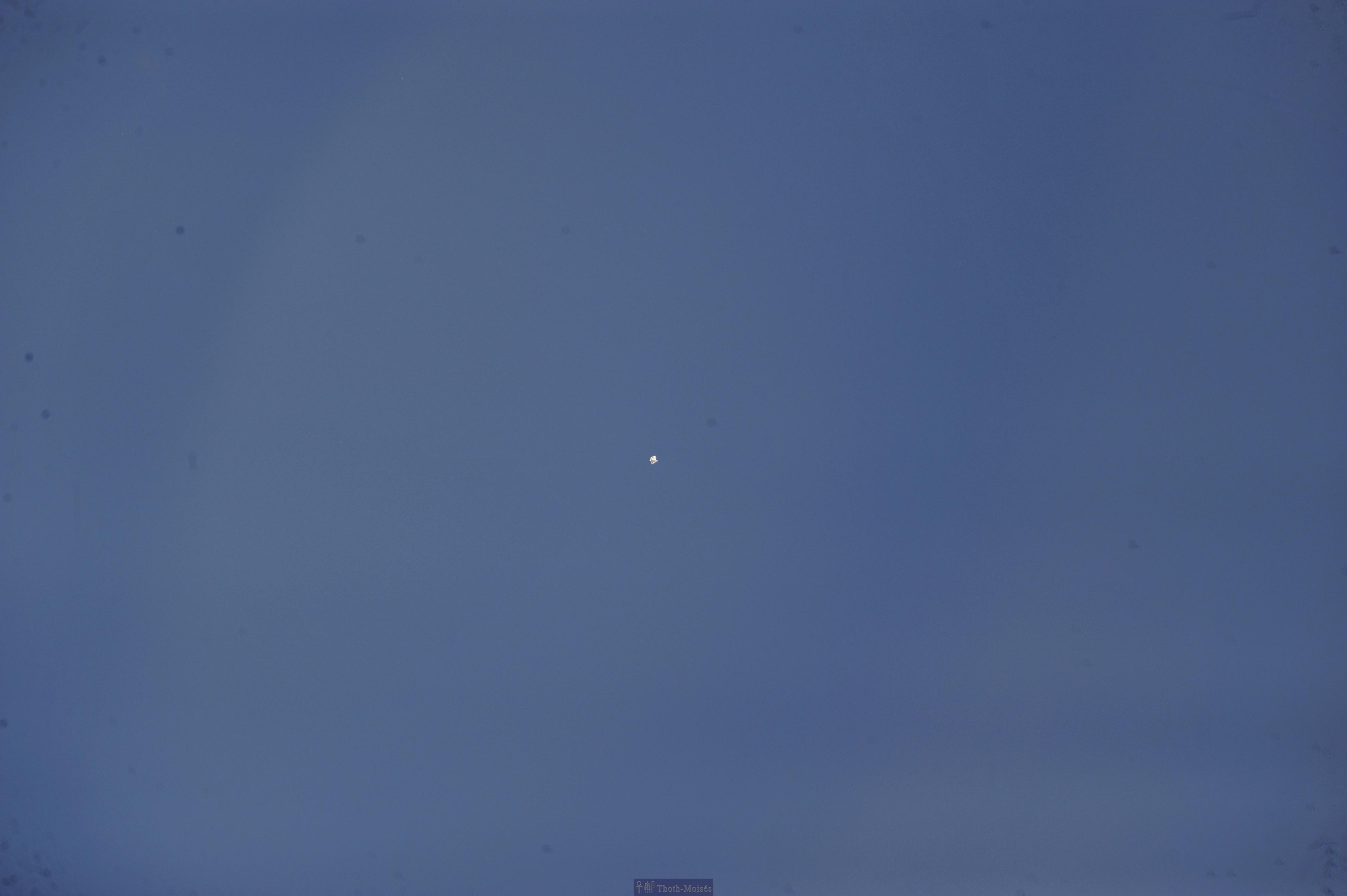 DSC_2403.JPG
