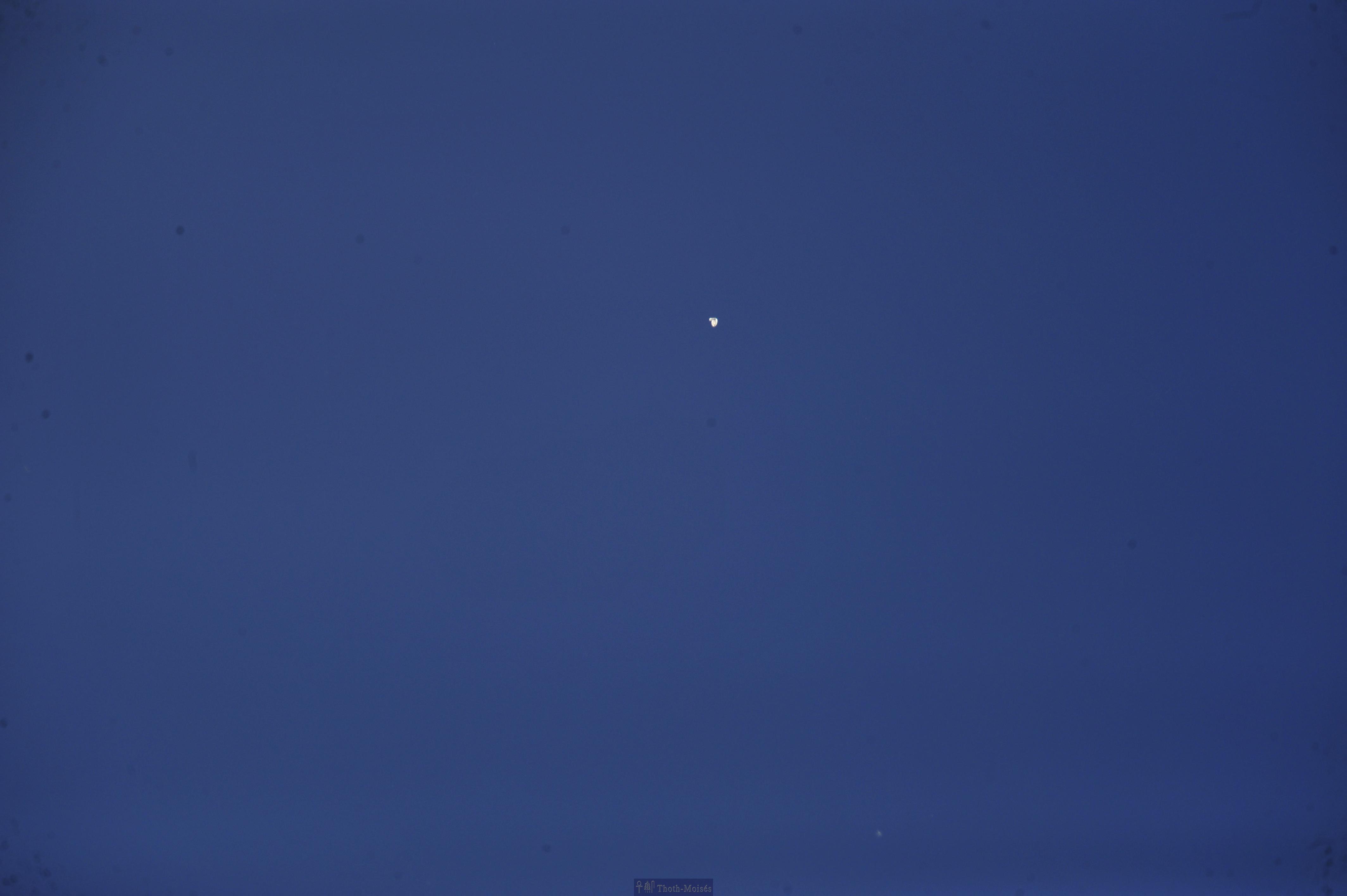 DSC_2446.JPG