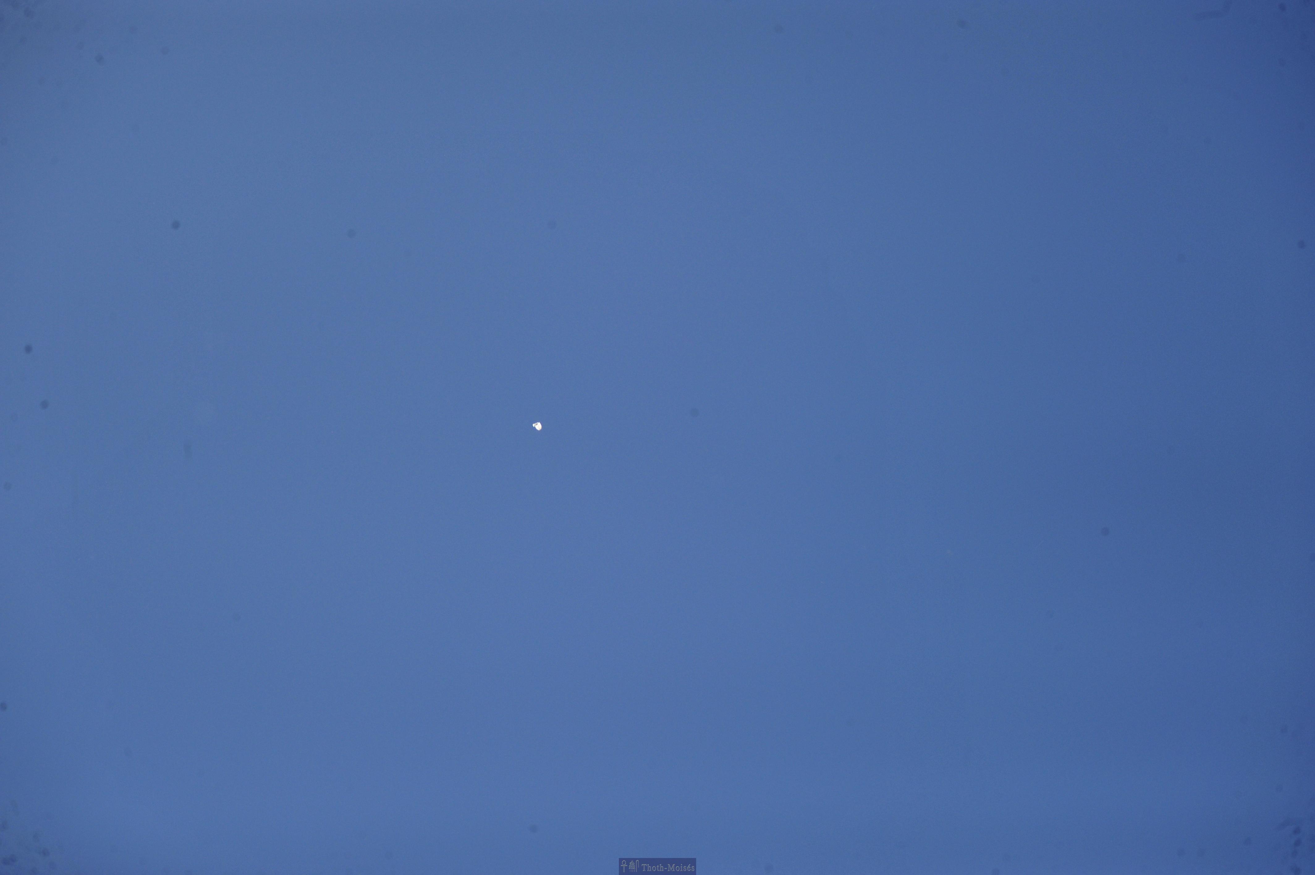 DSC_2448.JPG