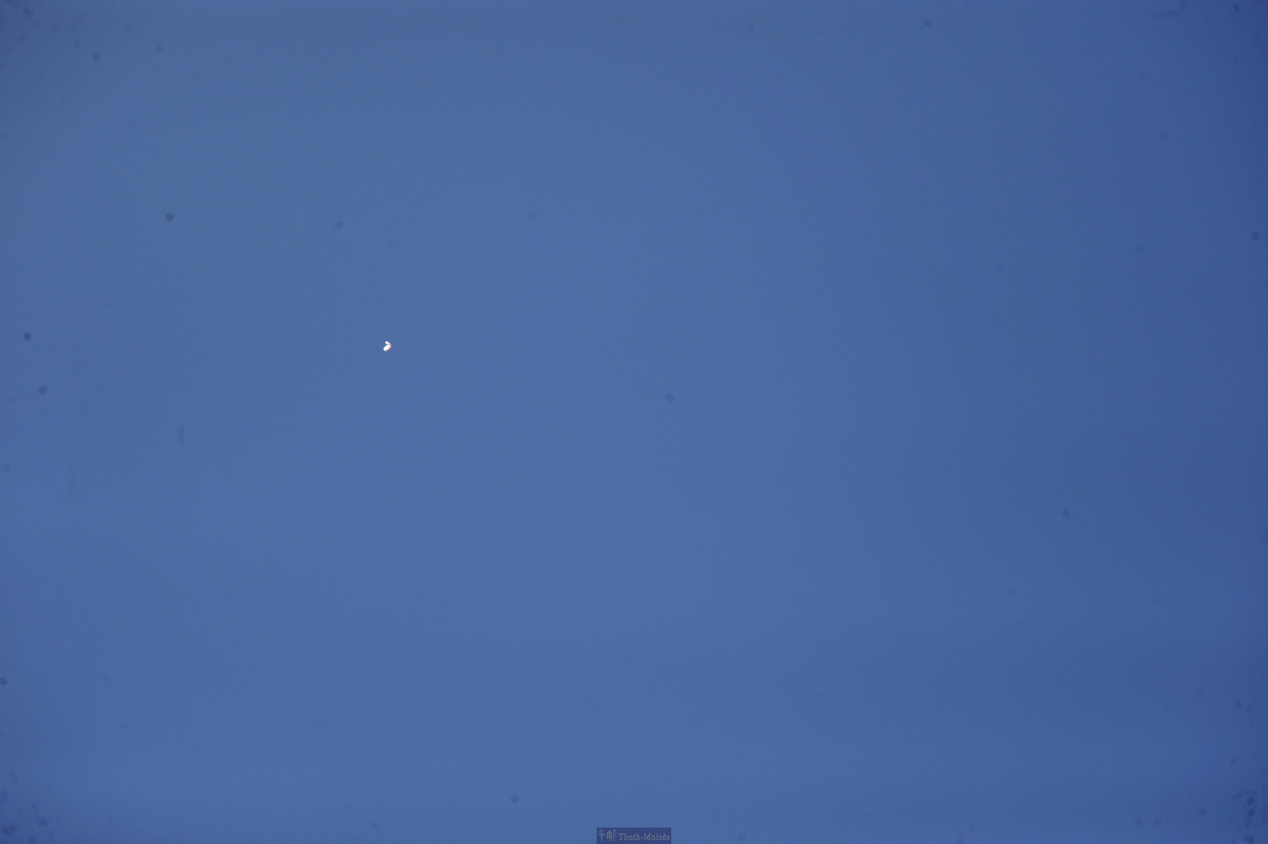 DSC_2462.JPG