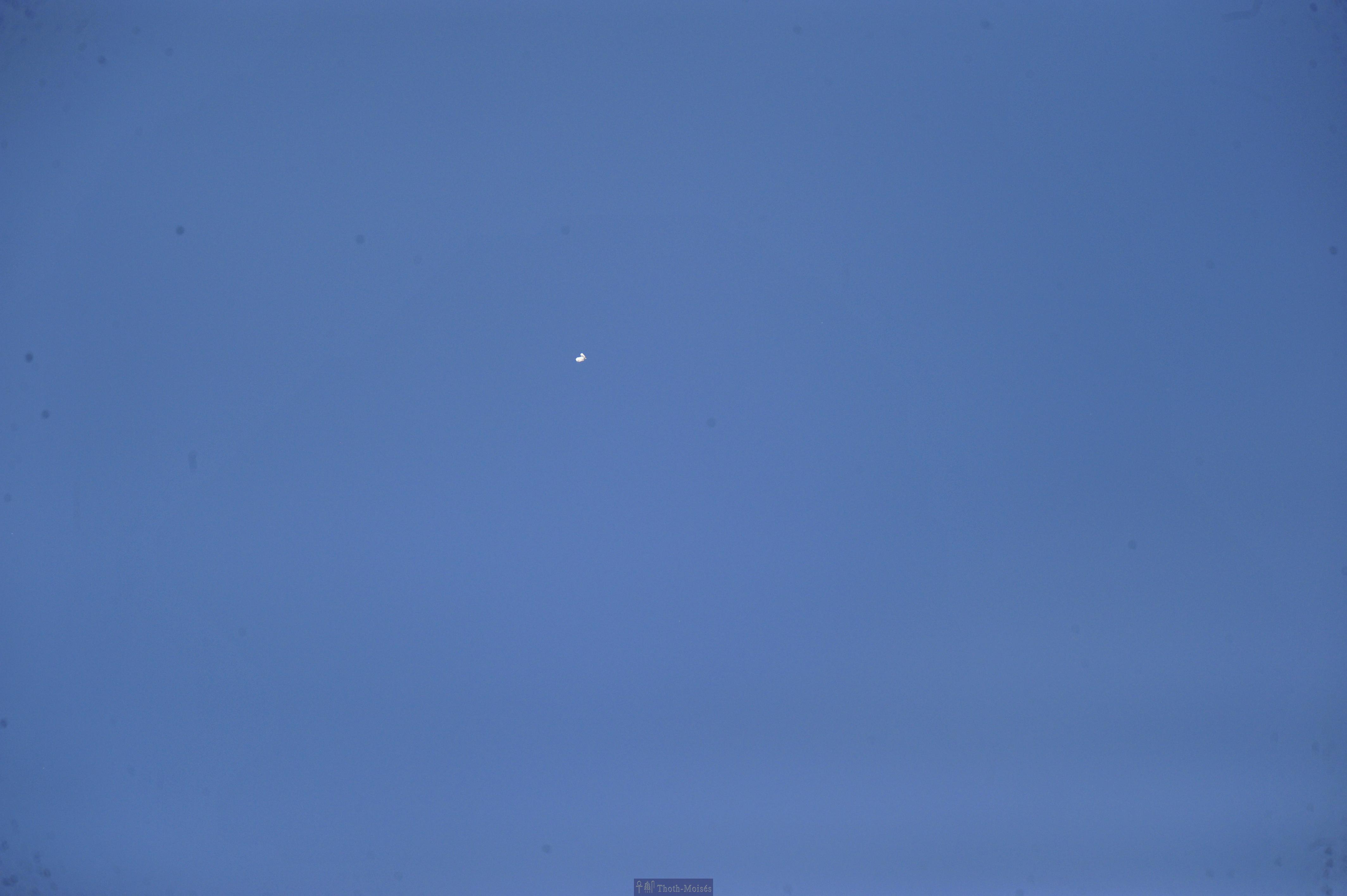 DSC_2482.JPG