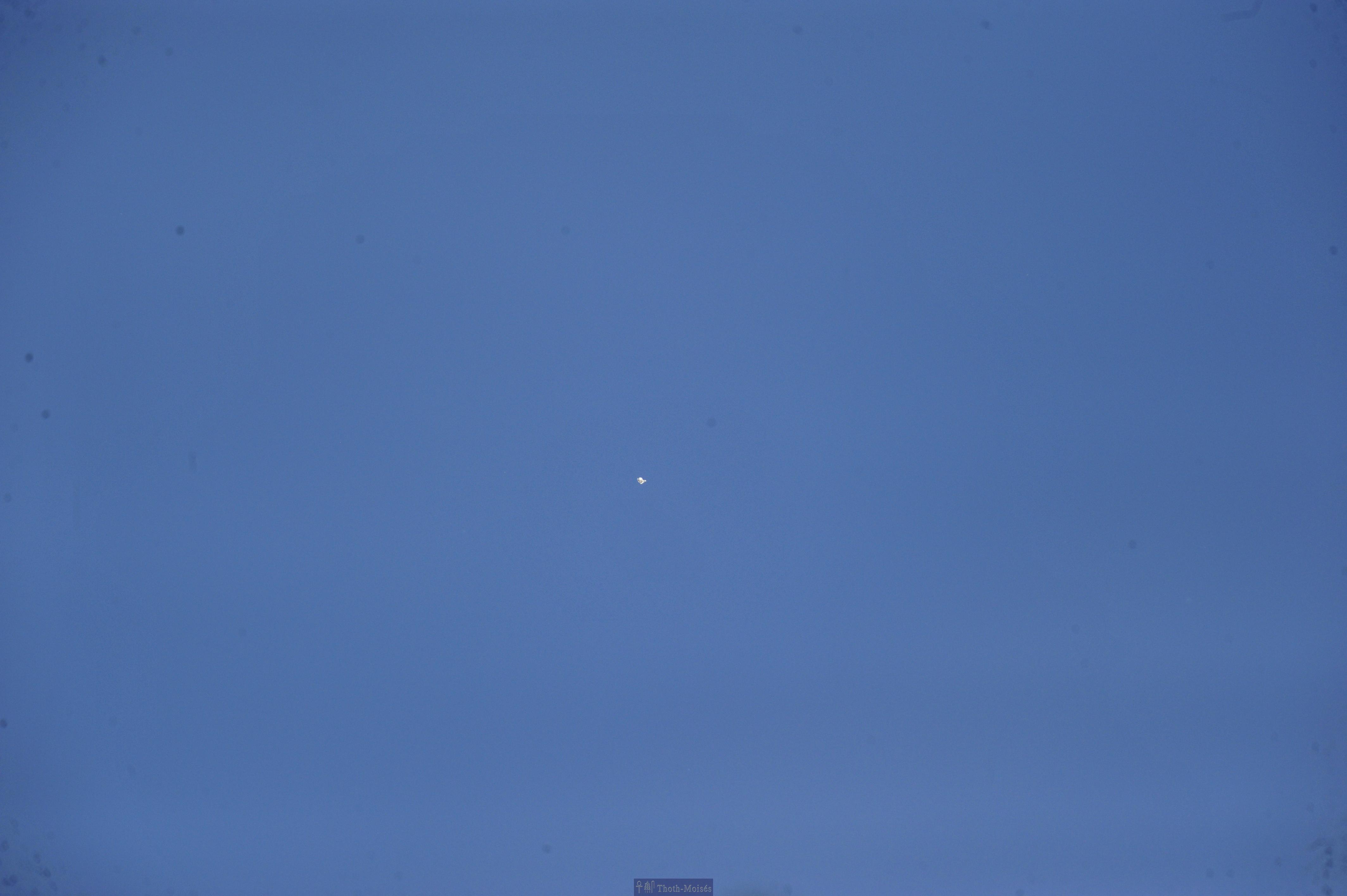 DSC_2492.JPG