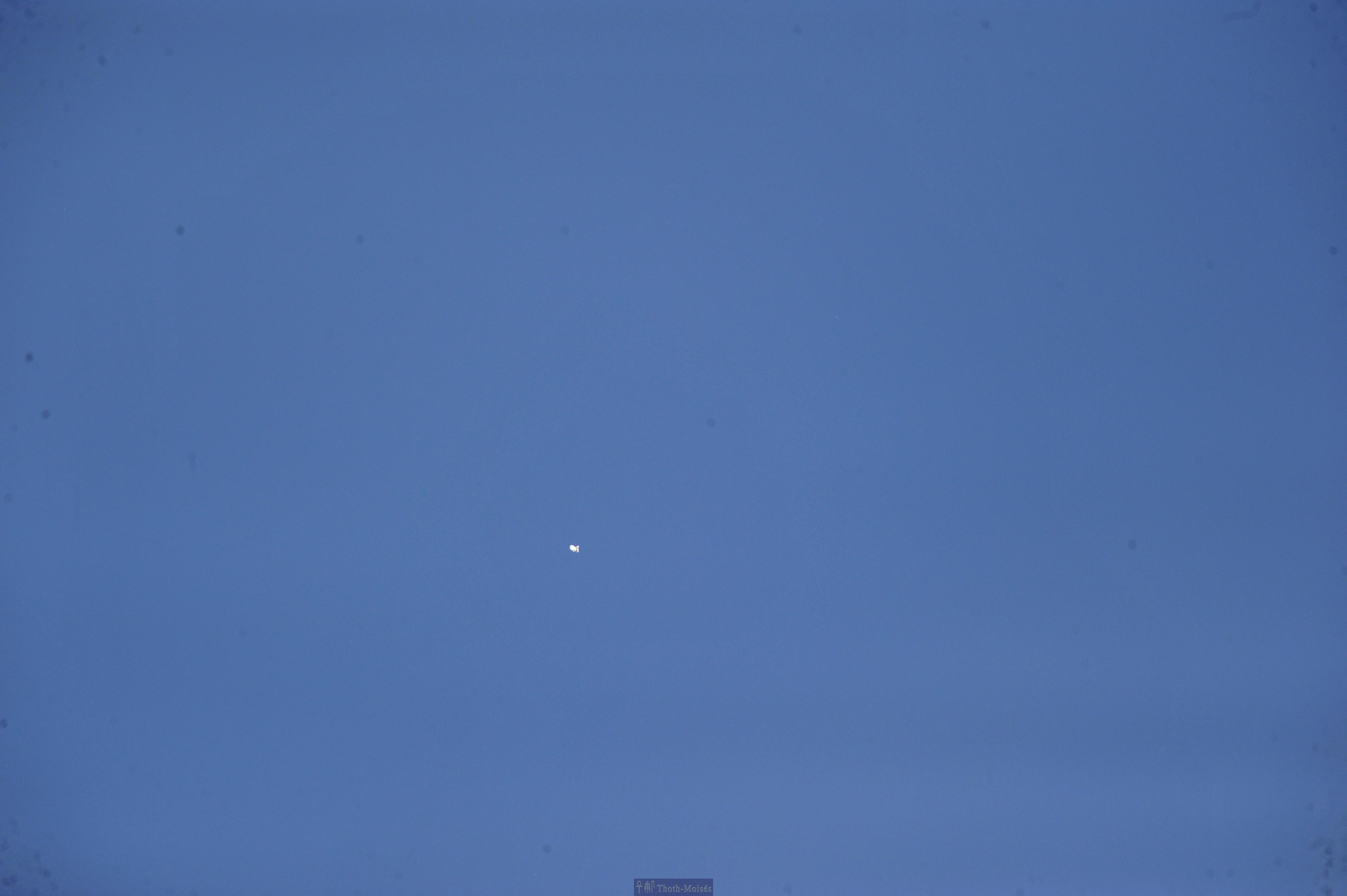 DSC_2494.JPG