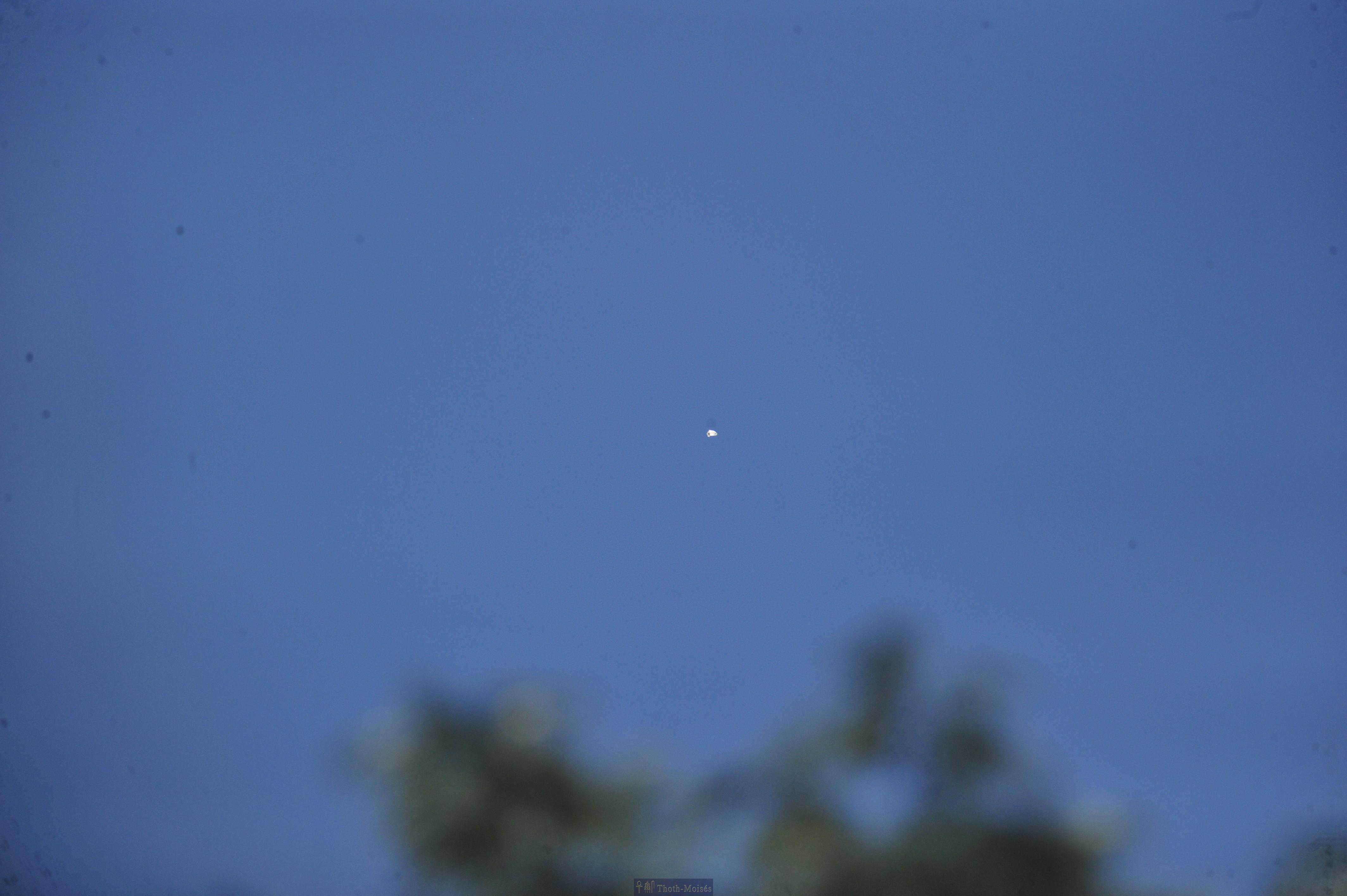 DSC_2501.JPG