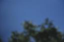 DSC_2513.JPG
