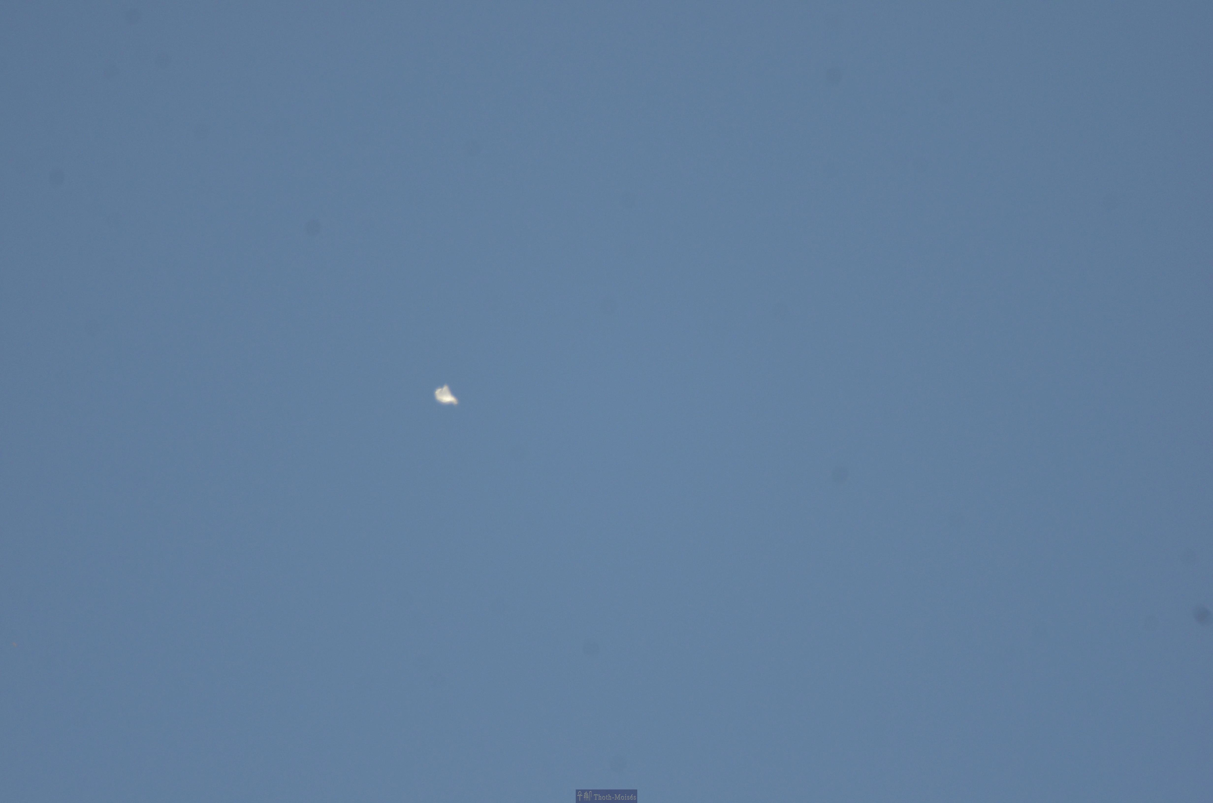 DSC_9878.JPG