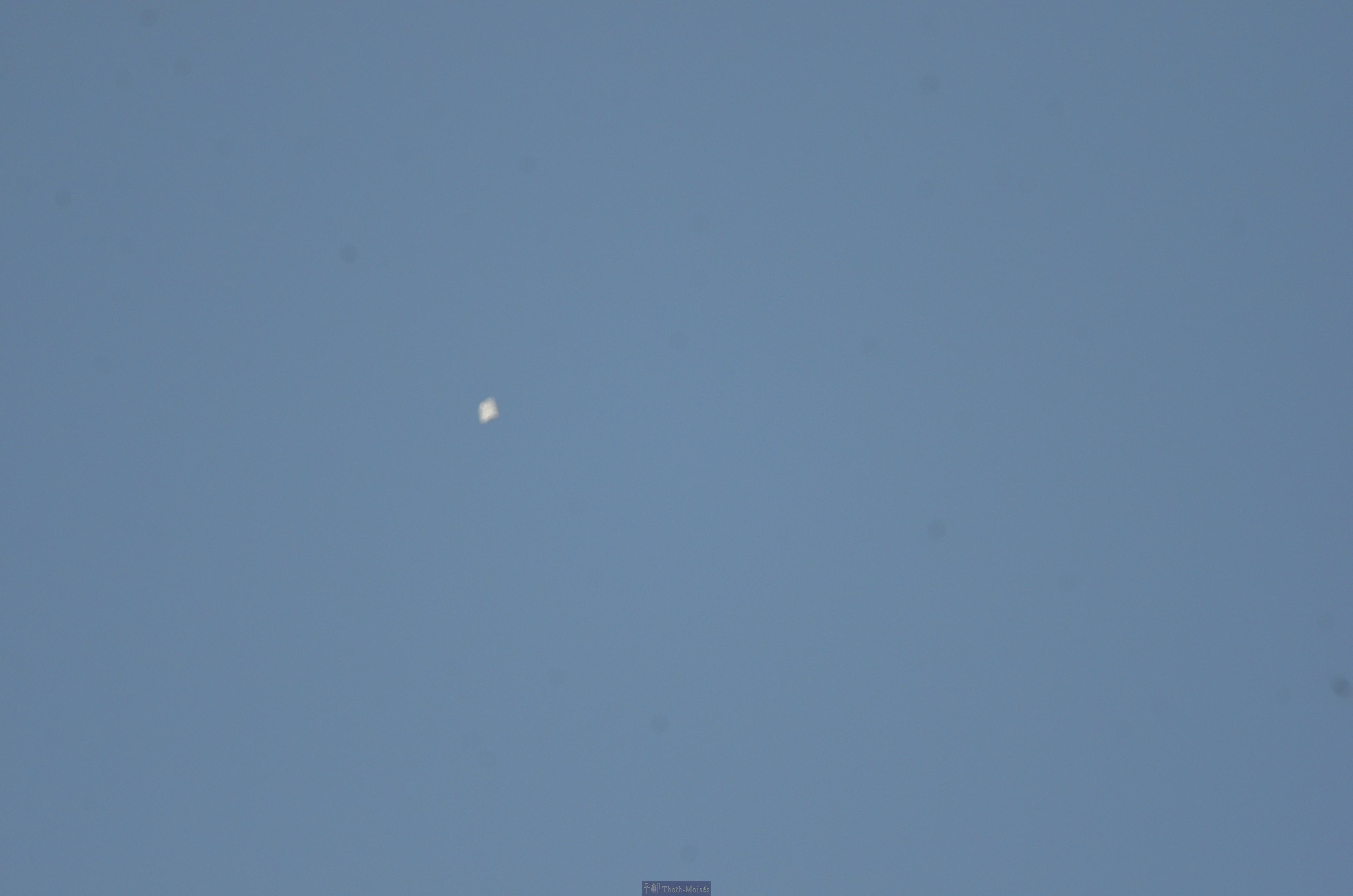 DSC_9981.JPG