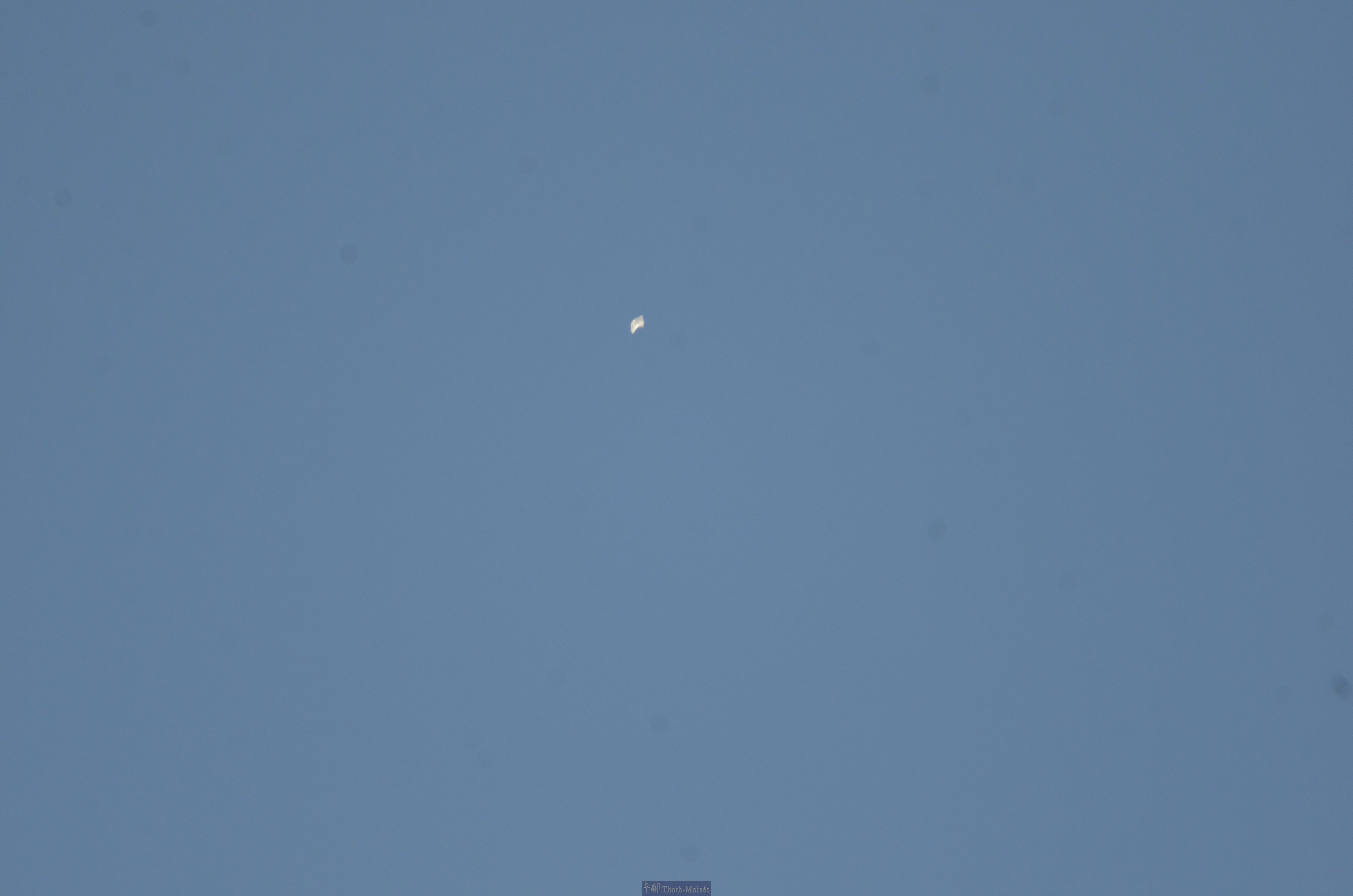 DSC_0110.JPG